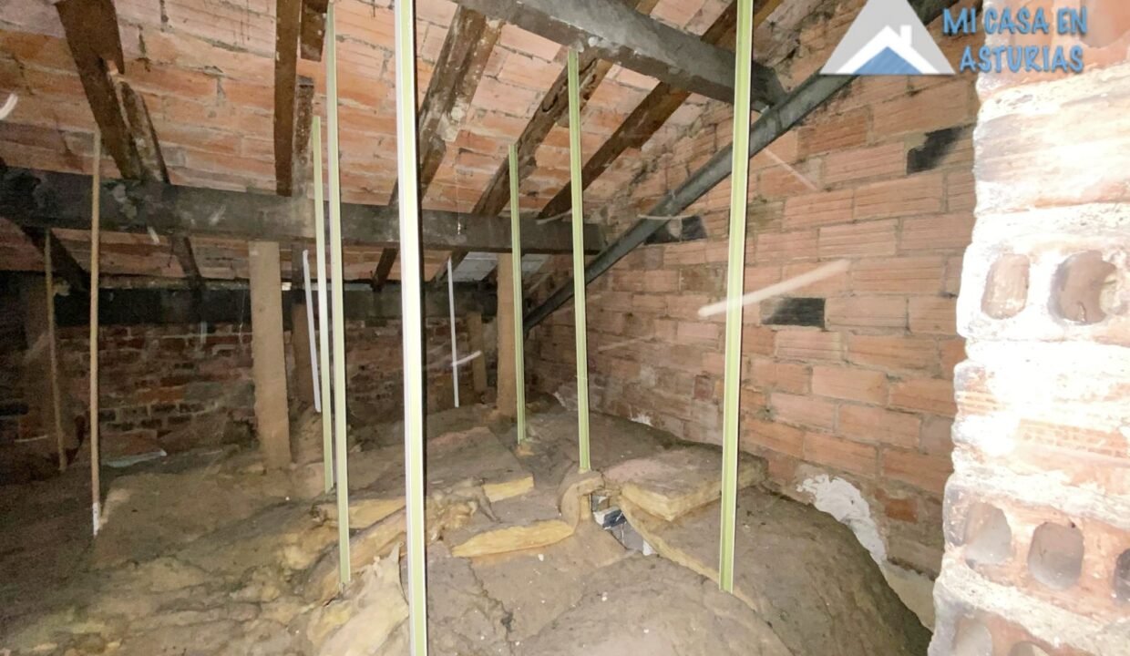 batch_PHOTO-2026-03-13-09-06-19 6