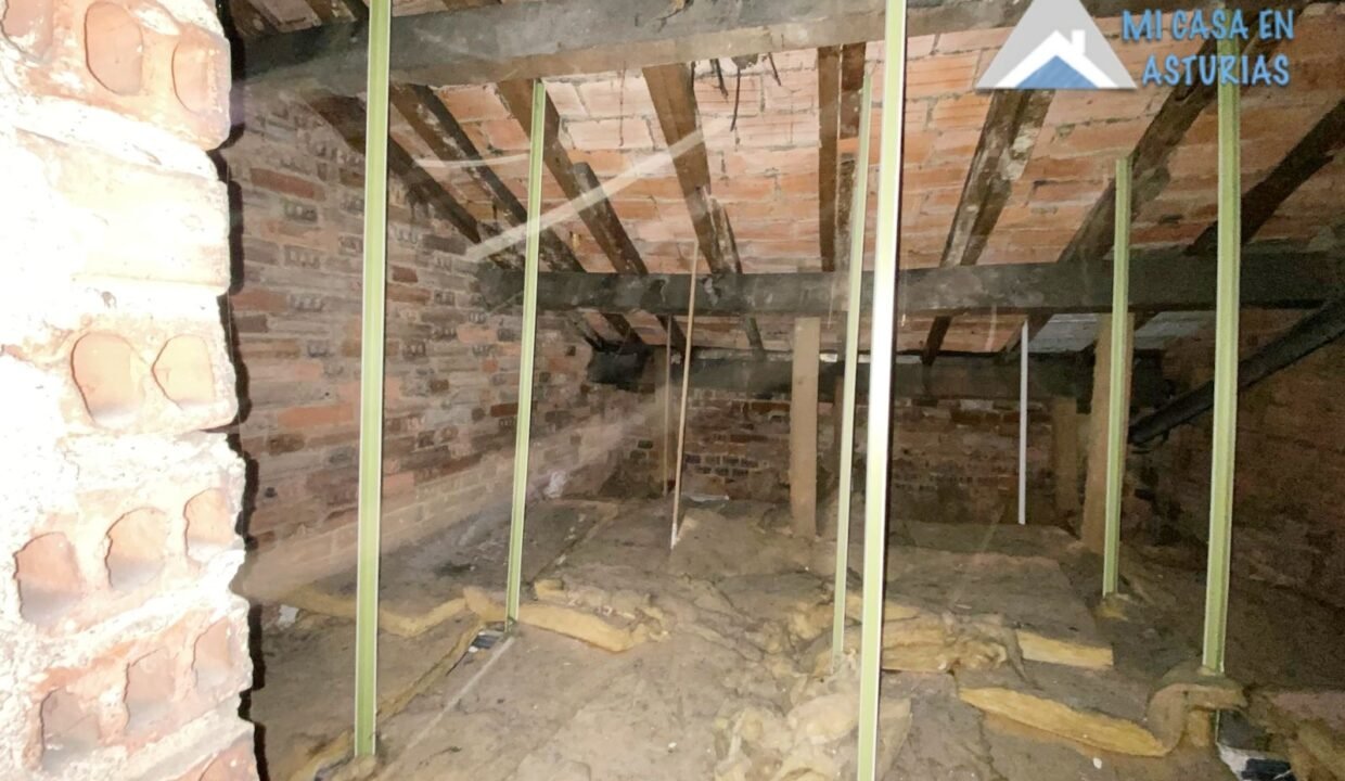 batch_PHOTO-2026-03-13-09-06-19 7