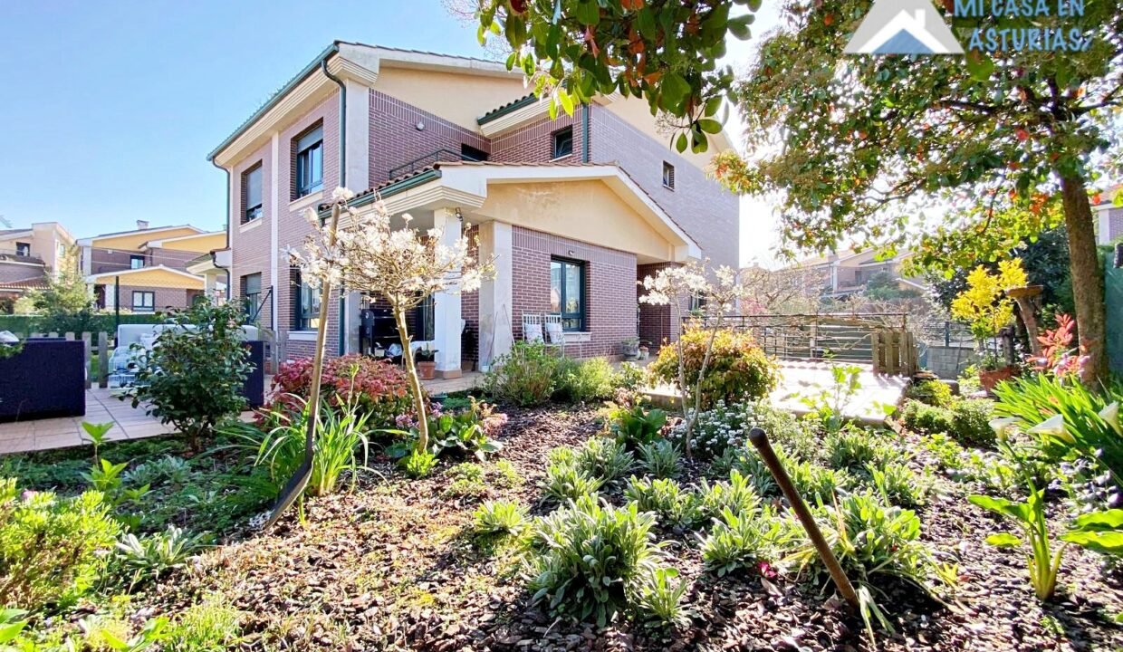 batch_PHOTO-2026-03-20-11-45-22 6