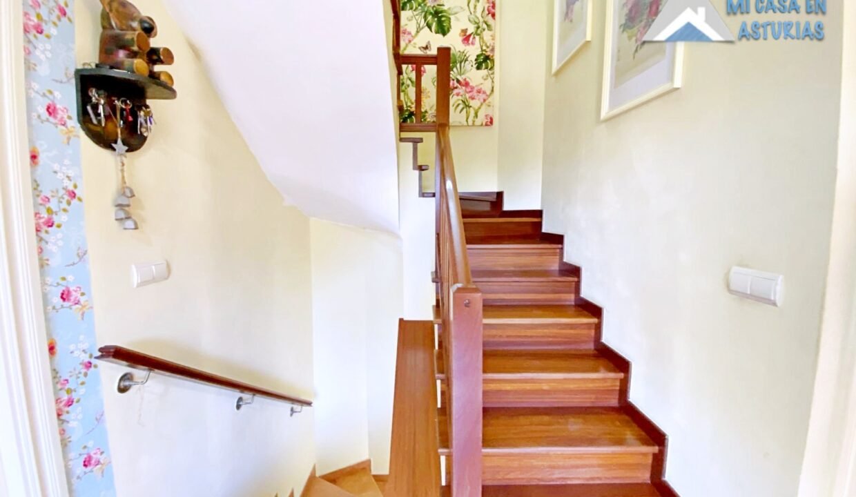 batch_PHOTO-2026-03-20-11-45-23 3