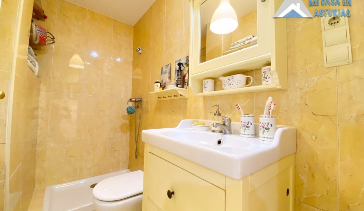 batch_PHOTO-2026-03-20-11-45-23 4