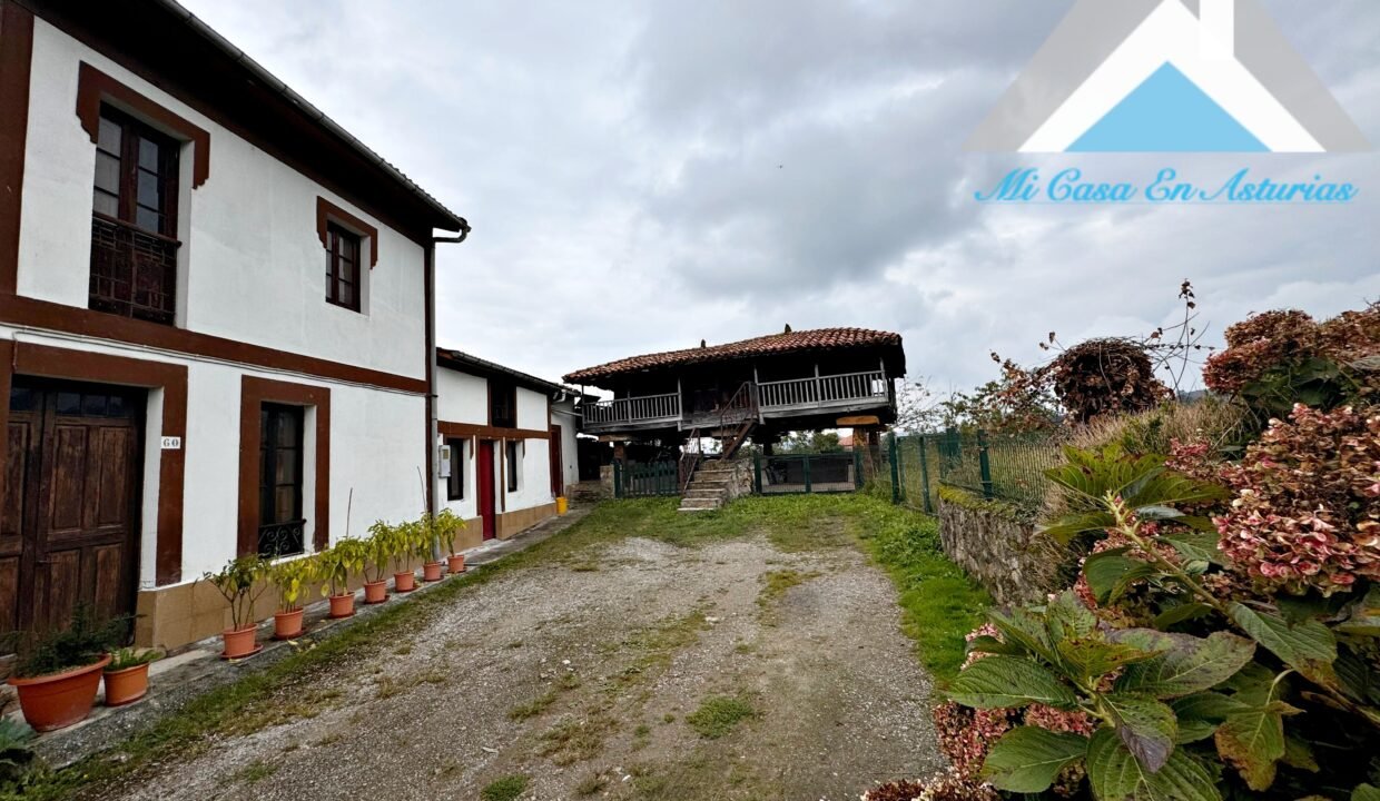 PHOTO-2024-10-21-11-58-13