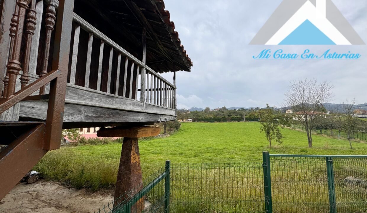 PHOTO-2024-10-21-11-58-13 2