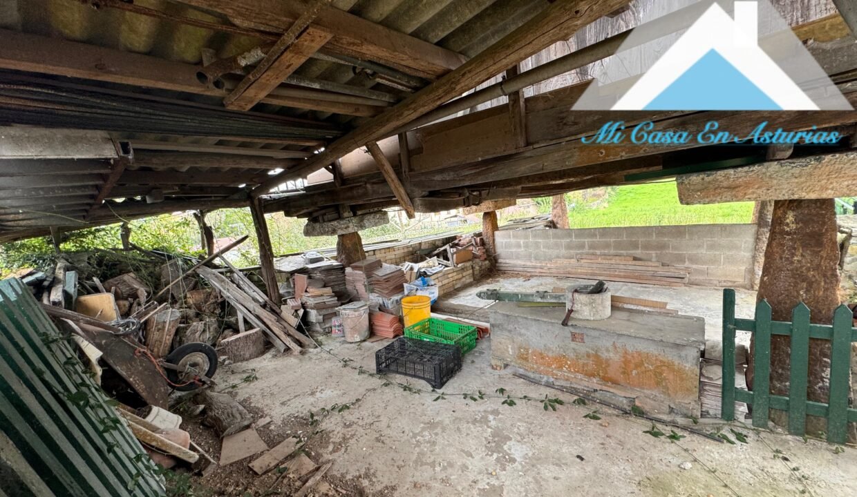 PHOTO-2024-10-21-11-58-13 3