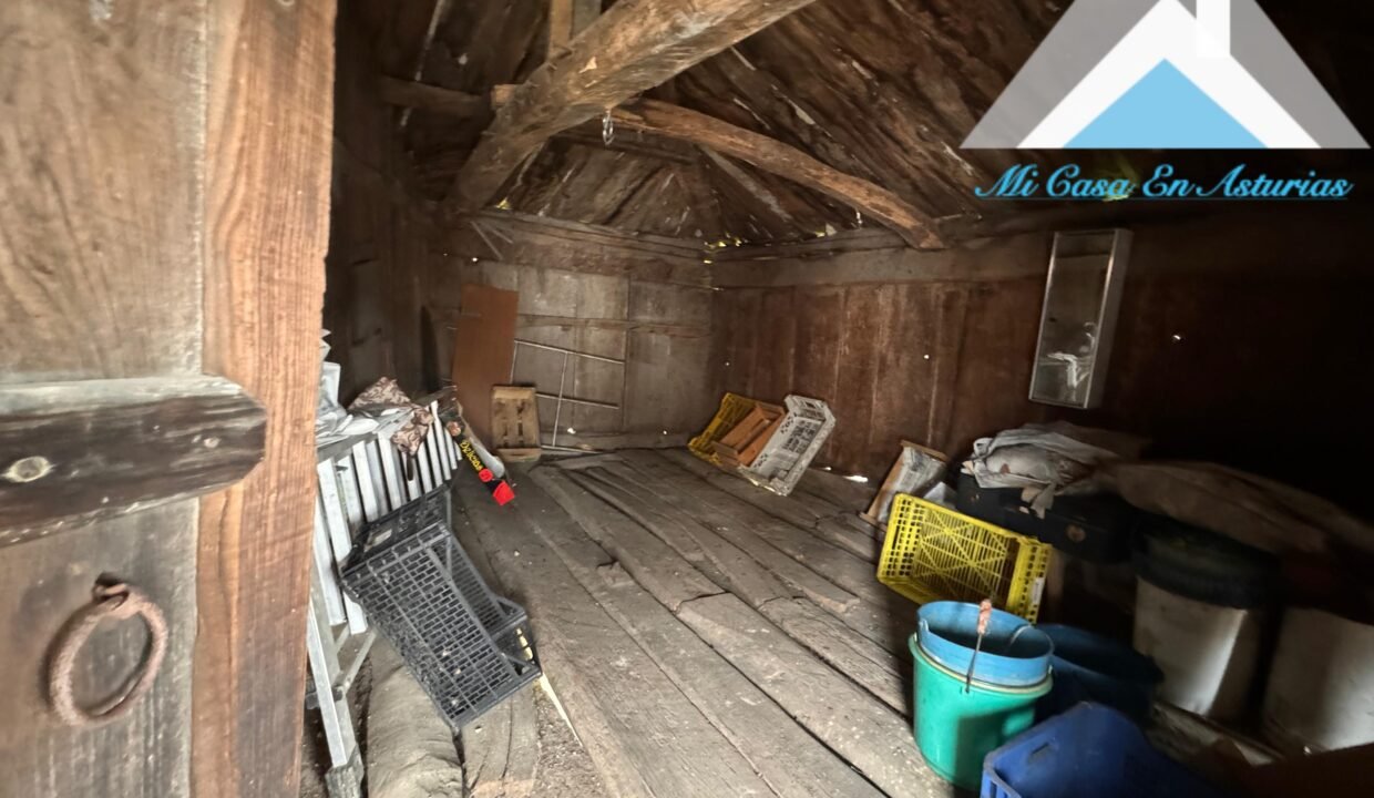 PHOTO-2024-10-21-11-58-13 4