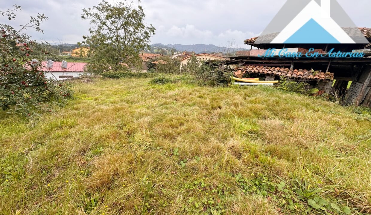 PHOTO-2024-10-21-11-58-15