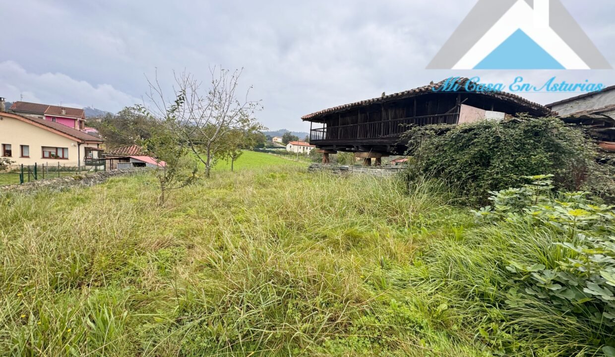 PHOTO-2024-10-21-11-58-15 3