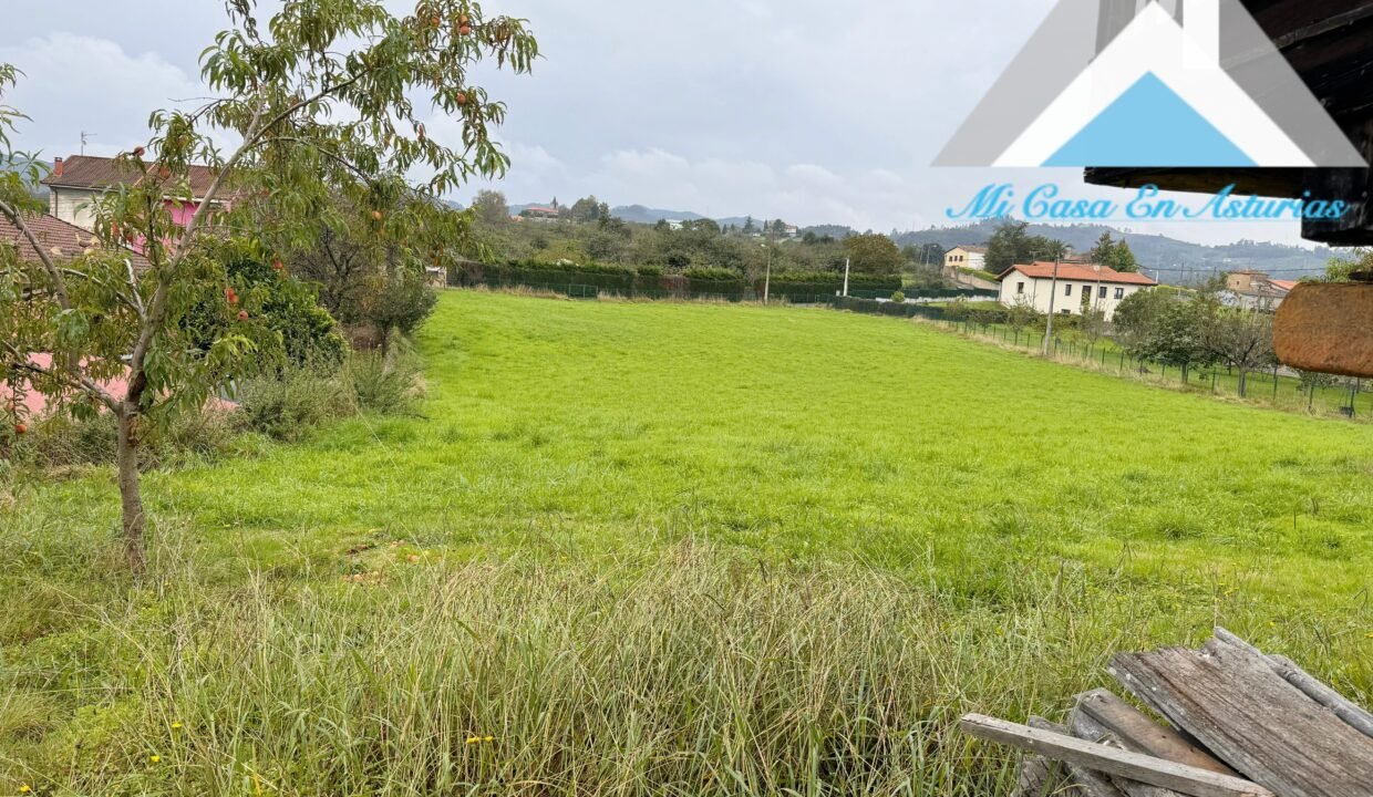 PHOTO-2024-10-21-11-58-16