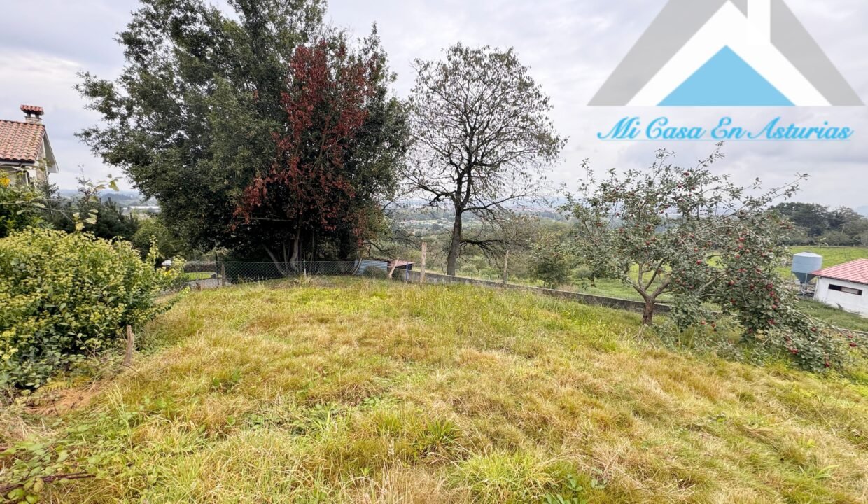 PHOTO-2024-10-21-11-58-20