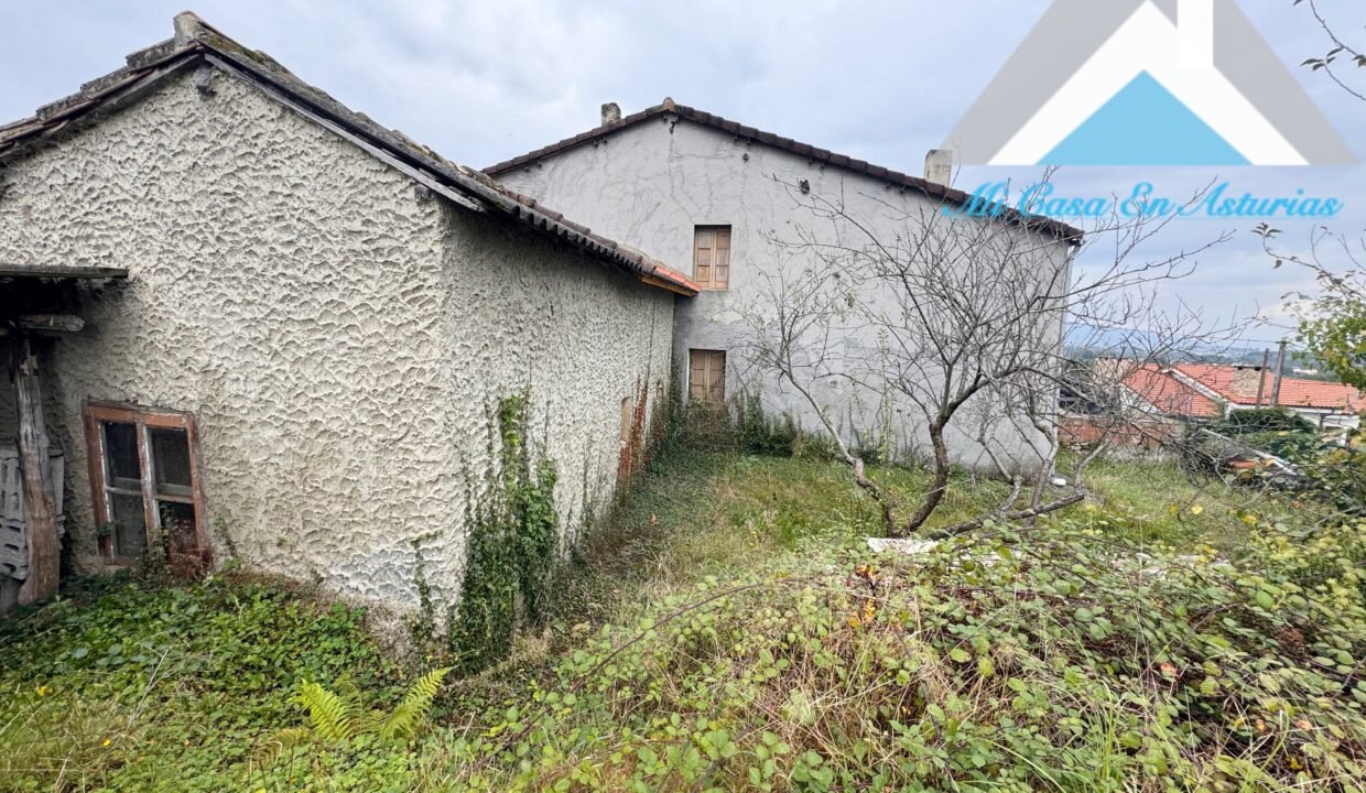 PHOTO-2024-10-21-11-58-21