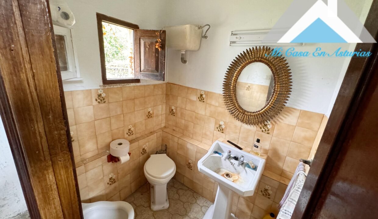 PHOTO-2024-10-21-11-58-21 2