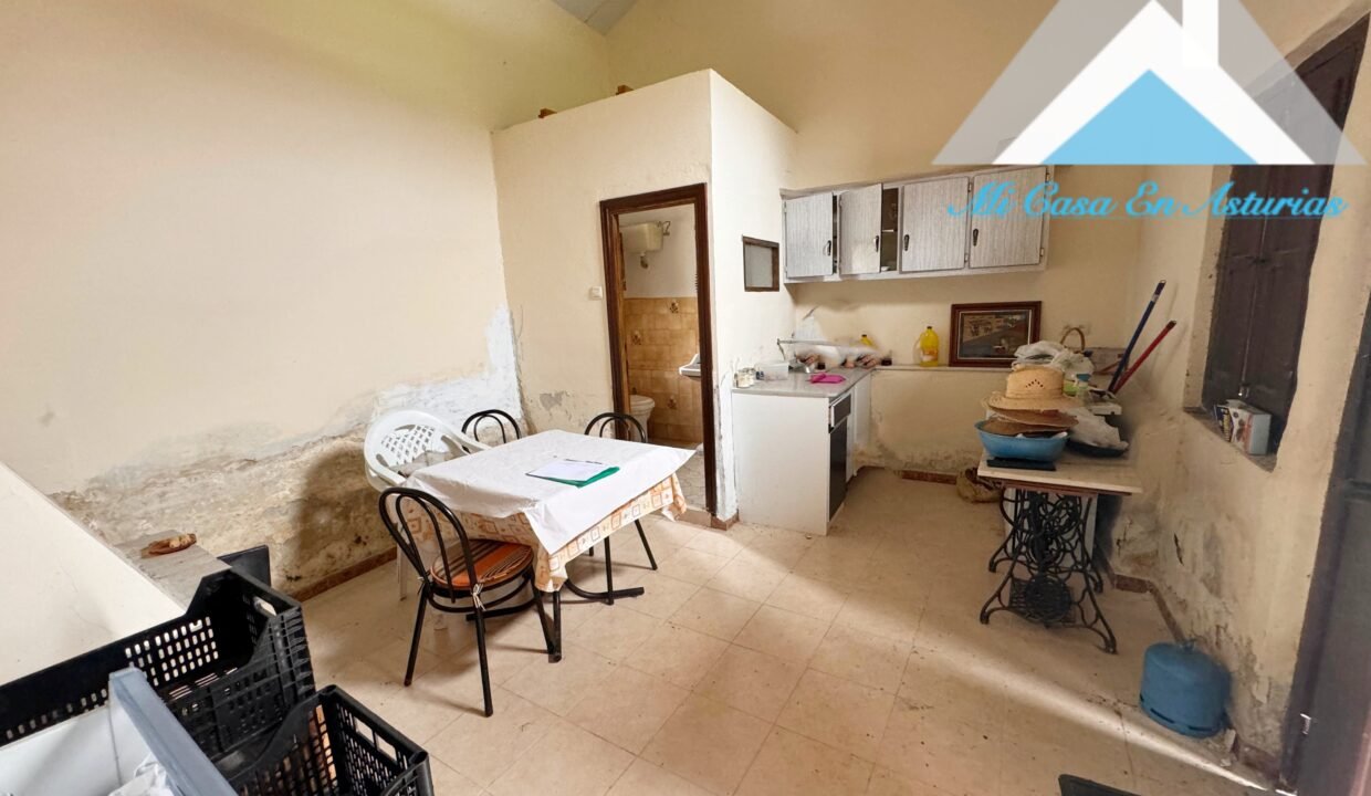 PHOTO-2024-10-21-11-58-21 4