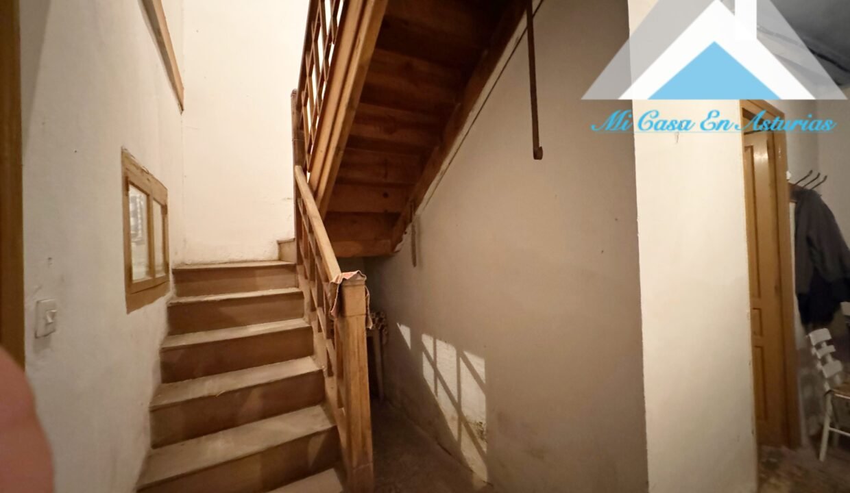 PHOTO-2024-10-21-11-58-21 7