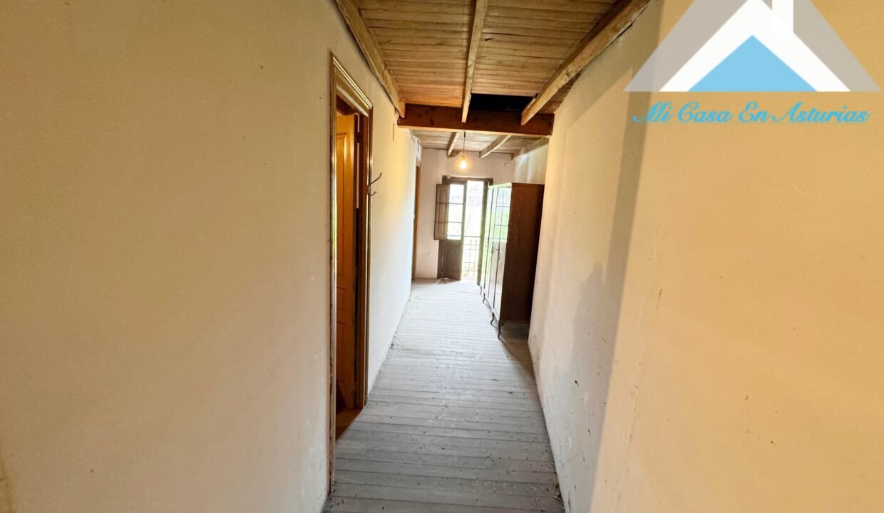 PHOTO-2024-10-21-11-58-25 2