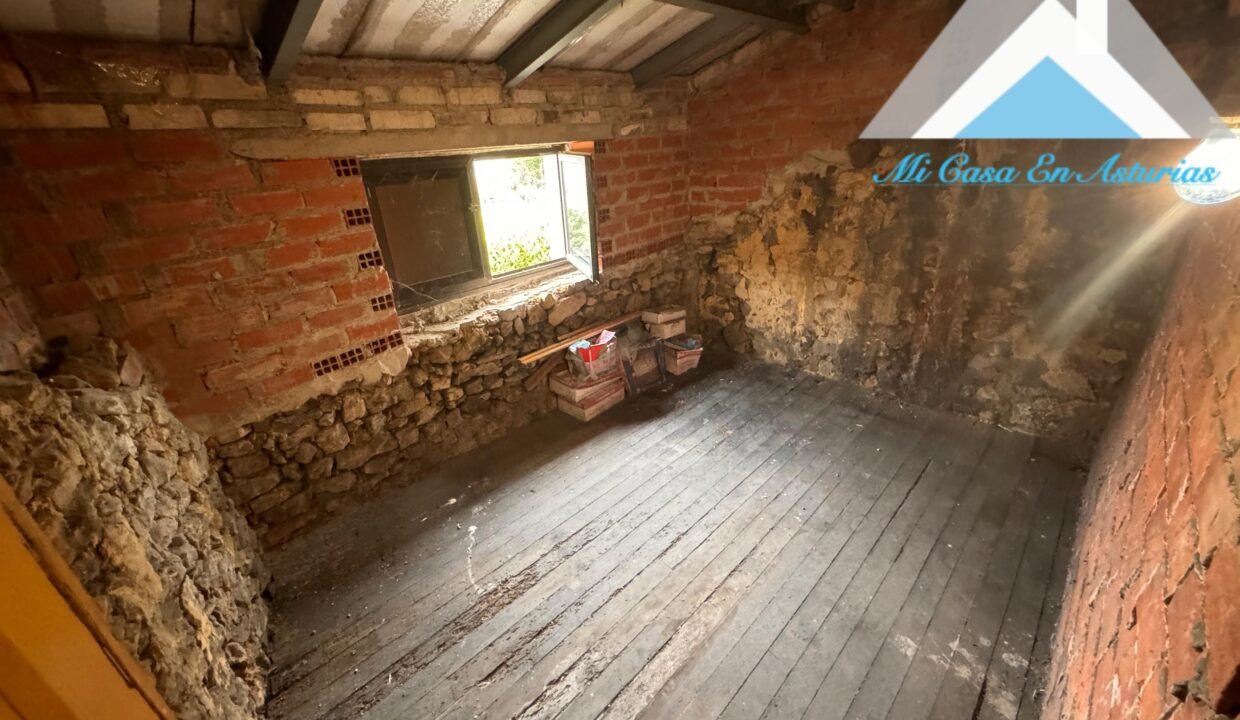 PHOTO-2024-10-21-12-02-13