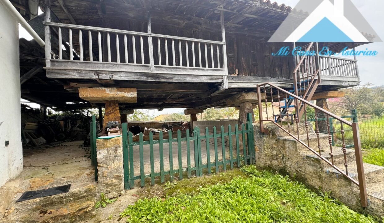 PHOTO-2024-10-21-12-02-15 2