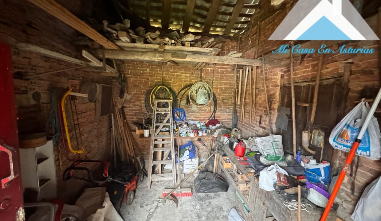 PHOTO-2024-10-21-12-02-16 2