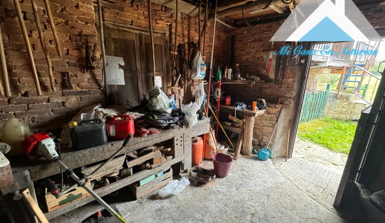 PHOTO-2024-10-21-12-02-16 3